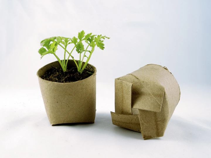 Eco Friendly